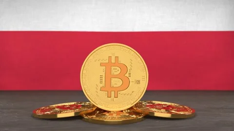 Bitcoin cryptocurrency on the background of the flag of Poland Stock-Footage 166152125