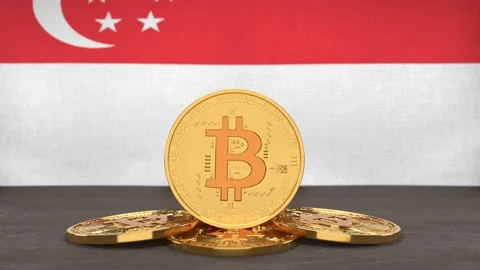 Bitcoin cryptocurrency on the background of the flag of Singapore Stock Footage 166152157