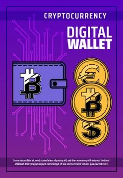Bitcoin cryptocurrency, digital blockchain wallet Stock Illustration
