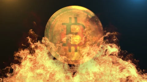 Bitcoin Cryptocurrency In Fire Stock Footage 206487688