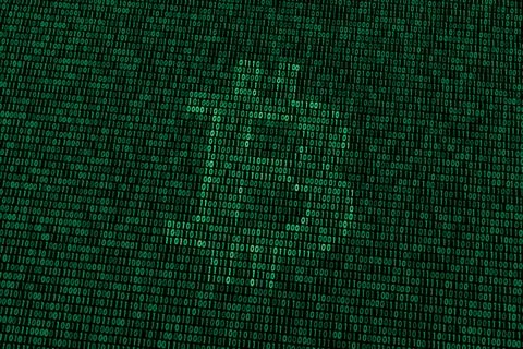 Bitcoin in the Data Stock Illustration