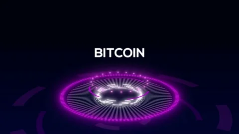 Bitcoin Data Protection. Digital Money Exchange. Cybersecurity Concept. 4K Stock Footage 194529196