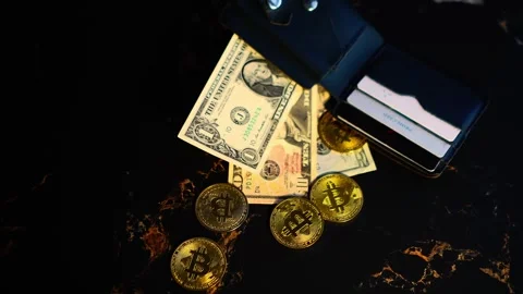 Bitcoin with dollars bills in wallet. Digital crypto coin. Investments, investor Vídeo Stock 329410834