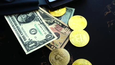 Bitcoin with dollars bills in wallet. Digital crypto coin. Investments, investor Vídeo Stock 329410849