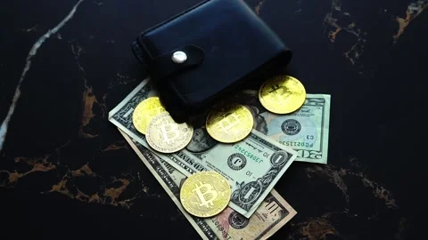 Bitcoin with dollars bills in wallet. Digital crypto coin. Investments, investor Vídeos de archivo 329410860