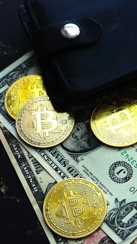 Bitcoin with dollars bills in wallet. Digital crypto coin. Investments, investor Vídeo Stock 329410885
