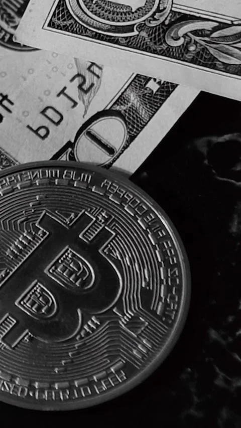 Bitcoin with dollars bills in wallet. Digital crypto coin. Investments, investor Vídeos de archivo 329624001