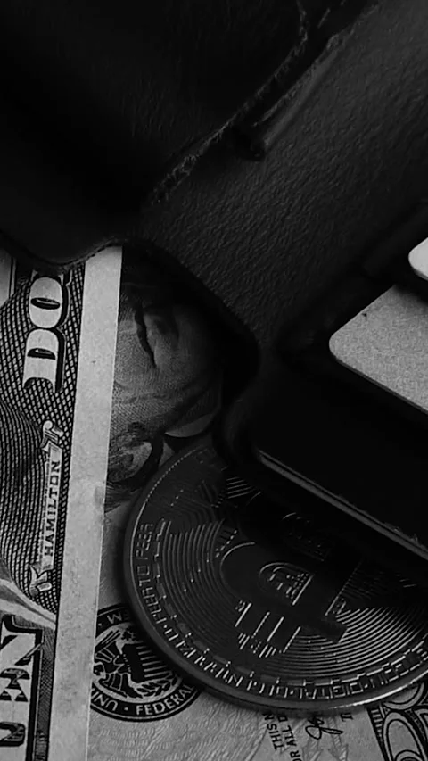 Bitcoin with dollars bills in wallet. Digital crypto coin. Investments, investor Stock Footage 329624037