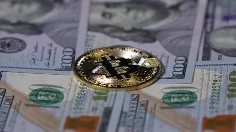 Bitcoin on dollars mackground concept. Macro shot. Crypto currency Gold Bitcoin Stock Footage 177098453