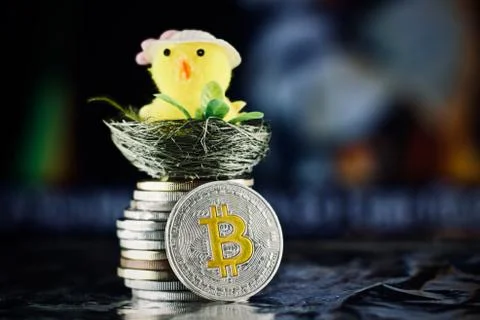 Bitcoin easter concept Stock Photos