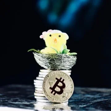 Bitcoin easter concept Stock Photos