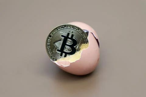 Bitcoin in an egg with a brown background Stock Photos
