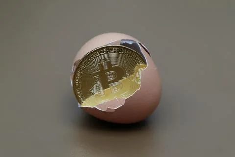 Bitcoin in an egg with a brown background Stock Photos