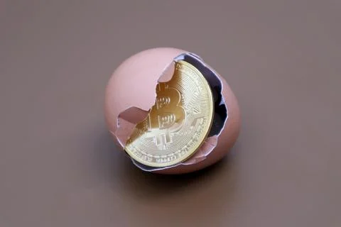 Bitcoin in an egg with a brown background Stock Photos