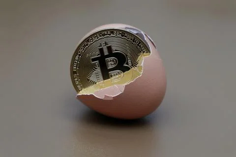 Bitcoin in an egg with a brown background Stock Photos
