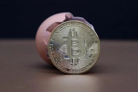 Bitcoin in an egg with a brown background Stock Photos