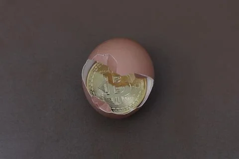 Bitcoin in an egg with a brown background Stock Photos