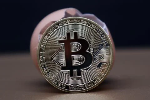 Bitcoin in an egg with a brown background Stock Photos