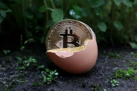 Bitcoin in an egg on the ground Stock Photos