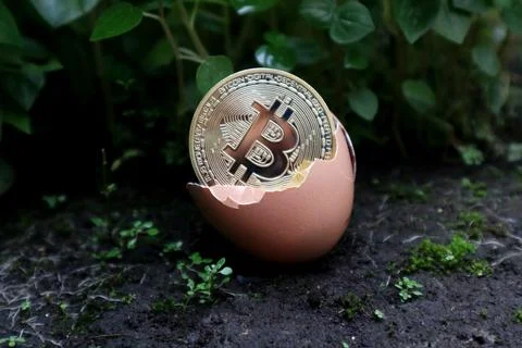 Bitcoin in an egg on the ground Stock Photos