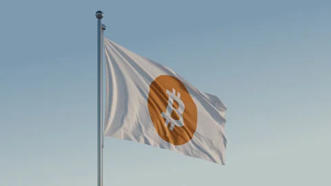 Bitcoin Flag: Cinematic Loopable Motion with Blue Sky in 4K ProRes 444 HQ 스톡 동영상 269823244