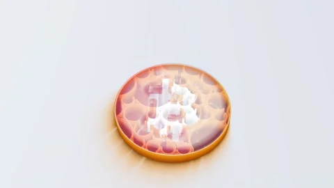 Bitcoin Stock Footage 165418677