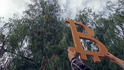 Bitcoin got up. Bitcoin today. How much is bitcoin. Crypto currency. Stock Footage 83893670