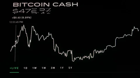 Bitcoin Graph Stock Footage 103538636