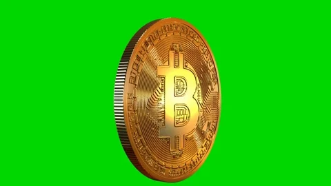 Bitcoin on green screen Stock Footage 166593653