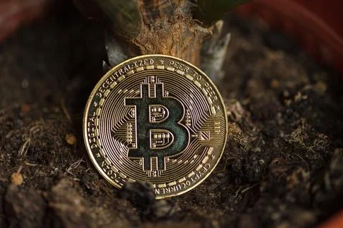 Bitcoin on the ground closeup 스톡 사진