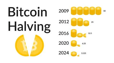 Bitcoin Halving 2024 vector illustation Stock Illustration