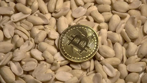 Bitcoin on Hulled Unsalted Raw Peanuts in Halves Rotating on Turntable. Digital Video stock 92201472