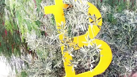 Bitcoin hung. Cryptocurrency. Stock Footage 83892903