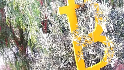 Bitcoin hung. Cryptocurrency. Stock Footage 87725652