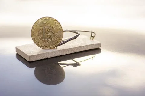 BITCOIN LOADED IN A MOUSE TRAP. CONCEPT OF RISK CRYPTO Stock Photos