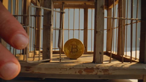 Bitcoin locked inside birdcage zoom on. Hand opening cage showing coin closeup Stock Footage 332342621