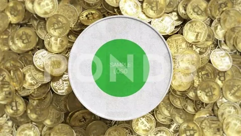 Bitcoin Logo Opener Stock After Effects