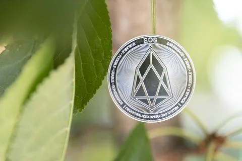 Bitcoin with main board selective focus,Block chain transfers shopping soft Stock Photos