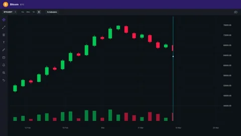 Bitcoin Market Analysis Chart - Cryptocurrency Price Graph with Indicators Stock Footage 341852283