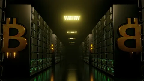 Bitcoin mining cryptocurrency data servers with flickering lights computing 4K Stock Footage 156758454