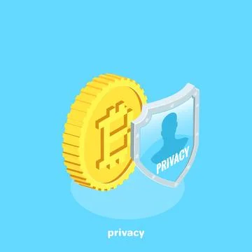 Bitcoin next to the shield on which privacy is written, isometric image Illustrazione stock