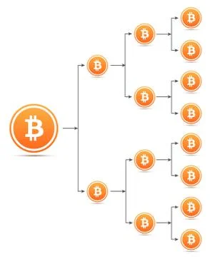 Bitcoin organization tree chart Stock Illustration