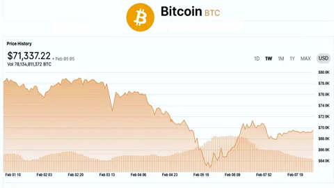 Bitcoin price chart dashboard with weekly market performance Video stock 334945346