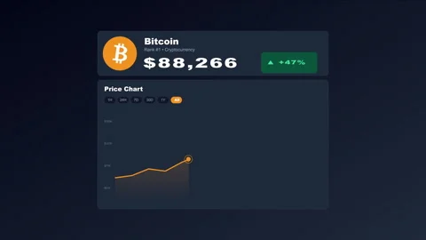 Bitcoin Price Increase Animation Chart with Rapid Growth and Percentage Gain 스톡 동영상 333512866