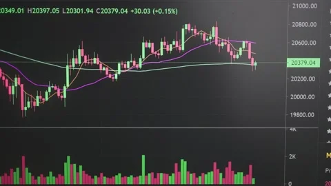 Bitcoin rate on a computer screen. Finance and investment. Rising and falling Stock Footage 201688619