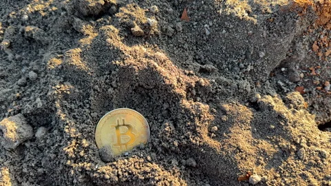 Bitcoin in soil after extraction. Сryptocurrency trading exchange. Stock-Footage 269902635