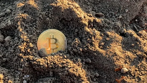 Bitcoin in soil after extraction. Сryptocurrency trading exchange. Stock-Footage 269902638