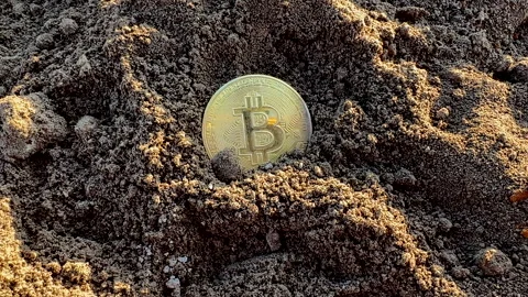 Bitcoin in soil after extraction. Сryptocurrency trading exchange. Stock-Footage 269902643