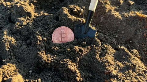 Bitcoin in soil after extraction. Сryptocurrency trading exchange. Stock-Footage 269902889