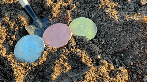 Bitcoin in soil after extraction. Сryptocurrency trading exchange. Stock-Footage 269902915